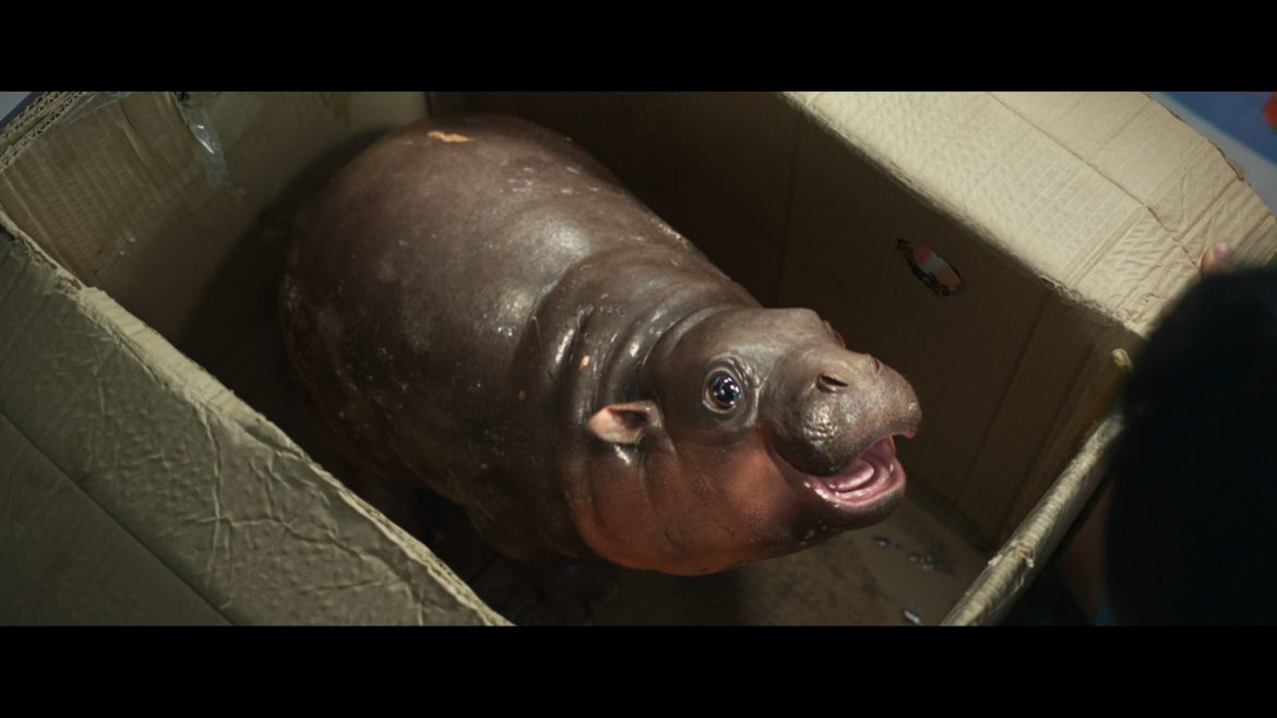 ส่อง!ความน่ารัก “หมูเด้ง” ครั้งแรกโลดแล่นบนแผ่นฟิล์ม ดึงทีมซีจีมือดีปั้นฮิปโปซุป’ตาร์ใน “ฟู้ดทรัค ลัก(รัก)หมูเด้ง”